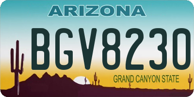 AZ license plate BGV8230