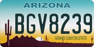 AZ license plate BGV8239
