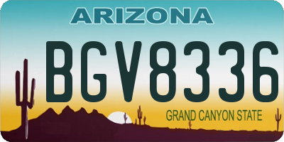 AZ license plate BGV8336