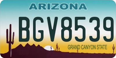 AZ license plate BGV8539