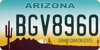 AZ license plate BGV8960