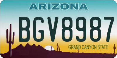 AZ license plate BGV8987