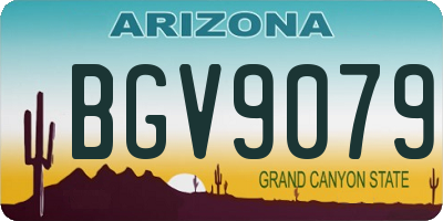 AZ license plate BGV9079