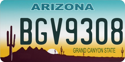 AZ license plate BGV9308