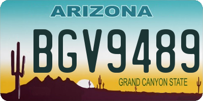 AZ license plate BGV9489