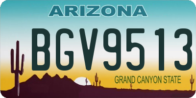 AZ license plate BGV9513