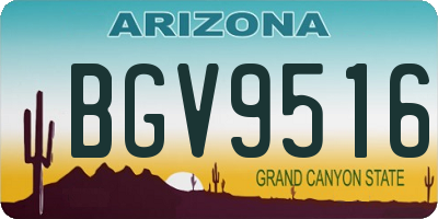 AZ license plate BGV9516