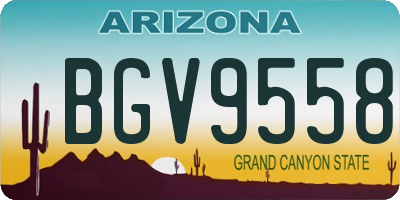 AZ license plate BGV9558