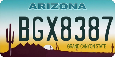 AZ license plate BGX8387