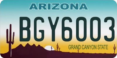 AZ license plate BGY6003