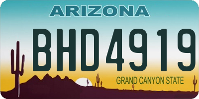 AZ license plate BHD4919