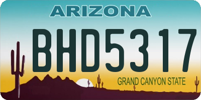 AZ license plate BHD5317