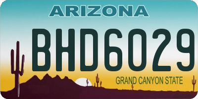 AZ license plate BHD6029