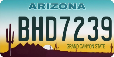 AZ license plate BHD7239