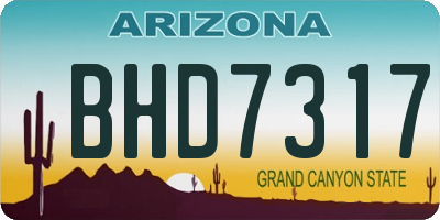 AZ license plate BHD7317