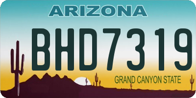 AZ license plate BHD7319