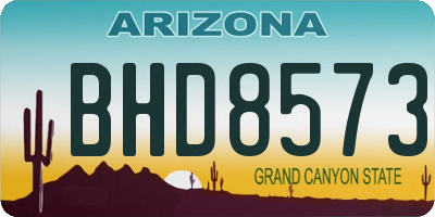 AZ license plate BHD8573