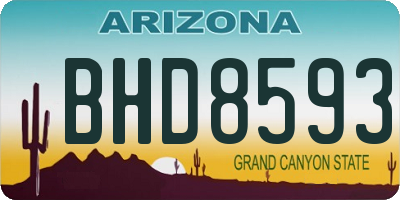 AZ license plate BHD8593