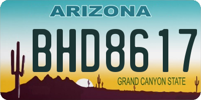 AZ license plate BHD8617