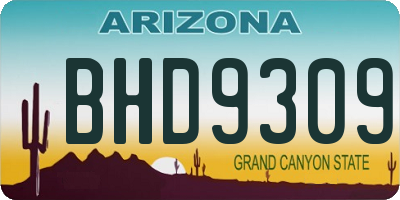 AZ license plate BHD9309