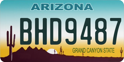 AZ license plate BHD9487