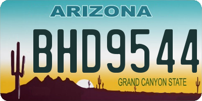 AZ license plate BHD9544