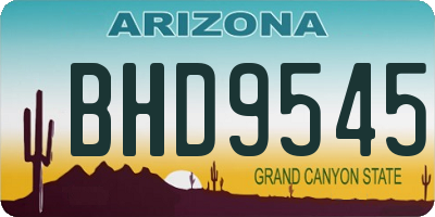 AZ license plate BHD9545