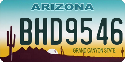 AZ license plate BHD9546