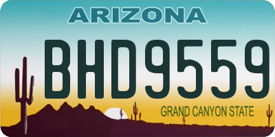 AZ license plate BHD9559