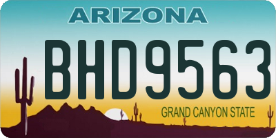 AZ license plate BHD9563