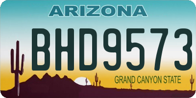 AZ license plate BHD9573