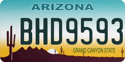AZ license plate BHD9593