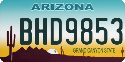 AZ license plate BHD9853