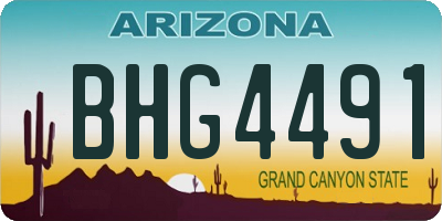 AZ license plate BHG4491