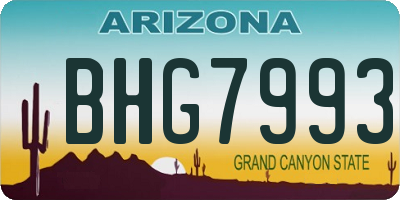 AZ license plate BHG7993