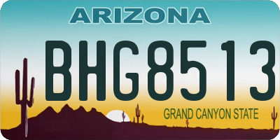 AZ license plate BHG8513
