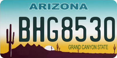 AZ license plate BHG8530