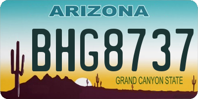 AZ license plate BHG8737