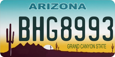 AZ license plate BHG8993