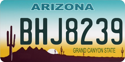 AZ license plate BHJ8239