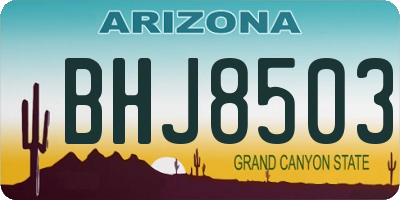 AZ license plate BHJ8503
