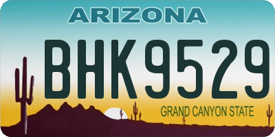 AZ license plate BHK9529