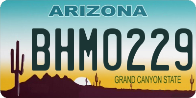 AZ license plate BHM0229