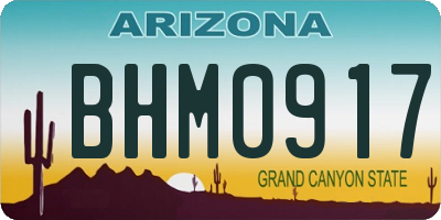AZ license plate BHM0917