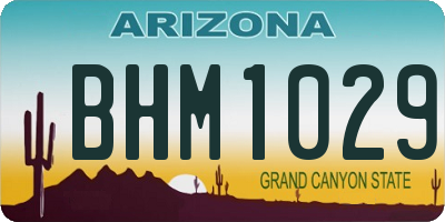 AZ license plate BHM1029