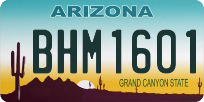 AZ license plate BHM1601