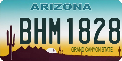 AZ license plate BHM1828