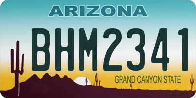 AZ license plate BHM2341