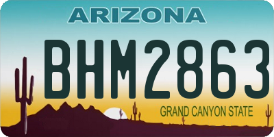 AZ license plate BHM2863