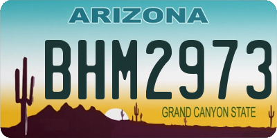 AZ license plate BHM2973